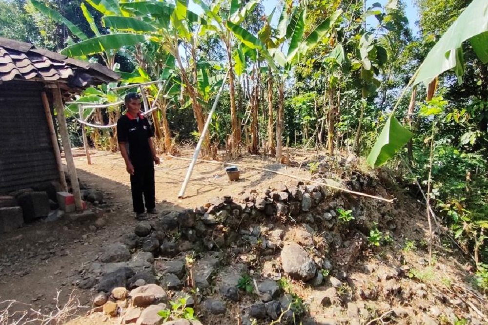 Cerita Penghuni Terakhir Bukit Kembang Gunungkidul: Tiap Hari Didatangi Kawanan Monyet, Waswas Didatangi Macan