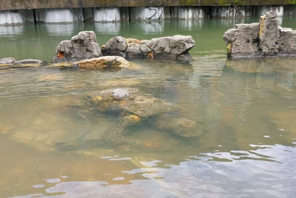Viral Wisata Batu Malin Kundang di Padang Tenggelam