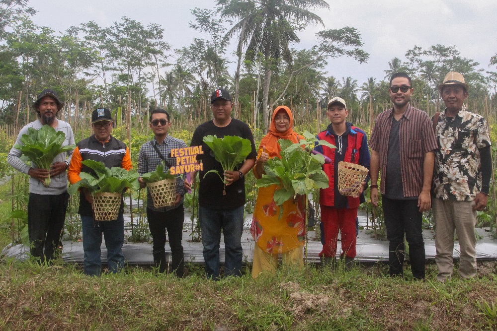 Festival Petik Sayur Jadi Potensi Pengembangan Agrowisata di Argomulyo Cangkringan