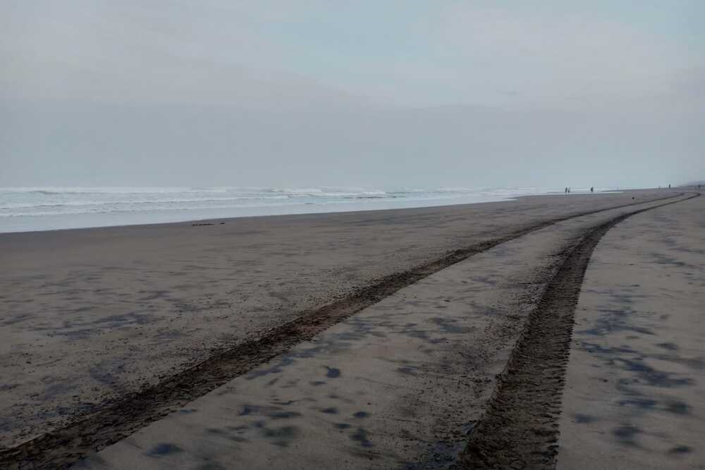 3 Tempat Jogging di Bantul dengan Pemandangan Menawan