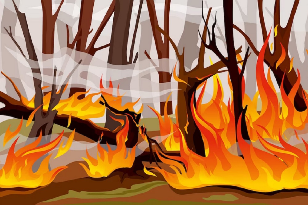 Kebakaran di Hutan Perbukitan Jurangjero Gunungkidul, Berawal dari Warga Usir Monyet