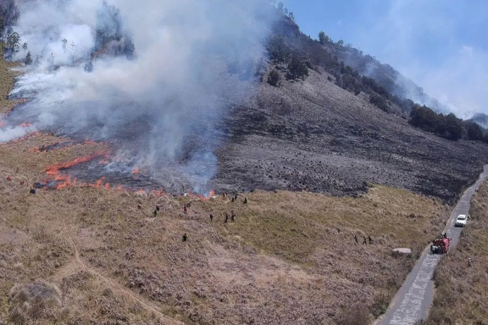 Kebakaran Gunung Bromo Berdampak Terhadap 504 Hektare Lahan