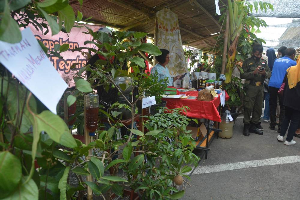 Kota Jogja Punya 317 Jenis Pisang, Dinas Pertanian: Terlengkap di ASEAN