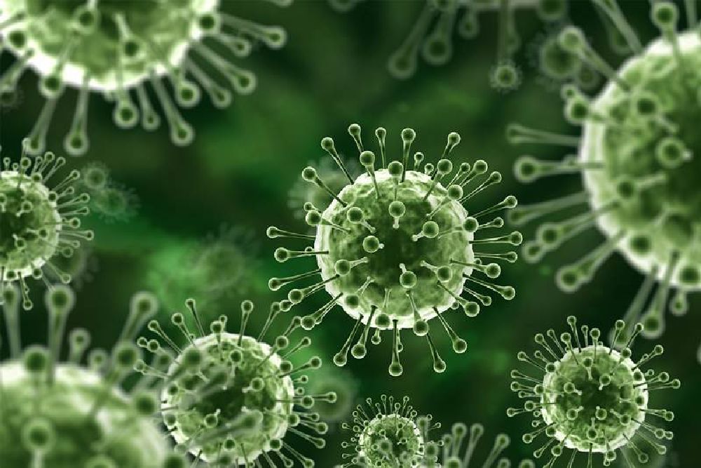 Heboh Virus Nipah, Menular dari Manusia ke Manusia, Yuk Kenali Gejalanya