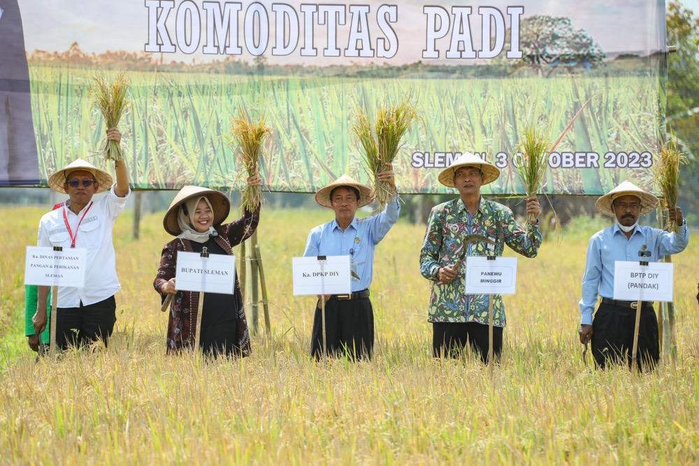 Bupati Sleman Kustini Canangkan Kawasan Pertanian Padi Sehat