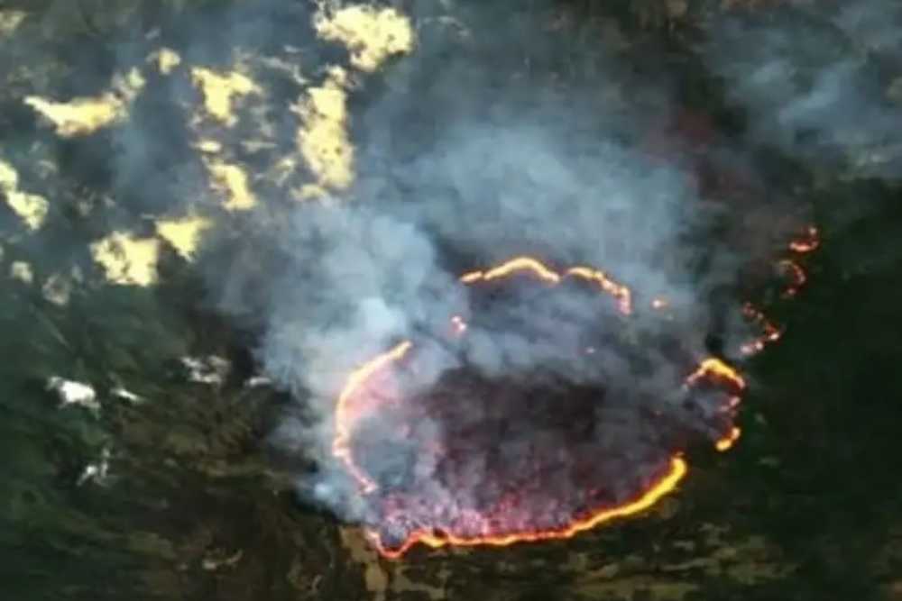 Kebakaran Gunung Lawu: Water Bombing Terkendala Angin, 150 Ha Hutan Kini Sudah Hangus