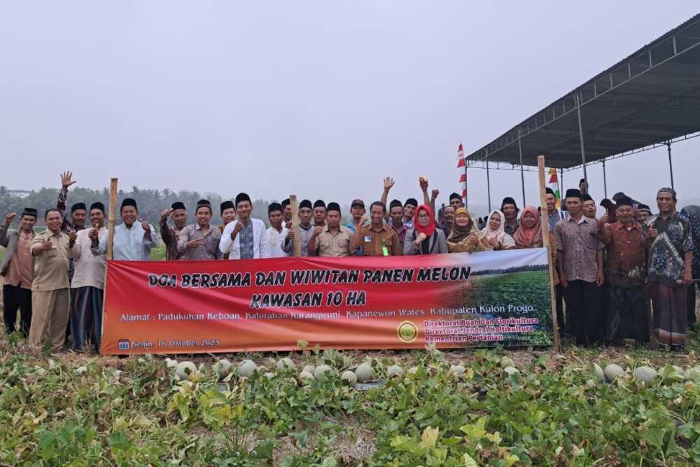 Kelompok Tani di Kulonprogo Terima Rp200 Juta dari APBN untuk Bangun Green House