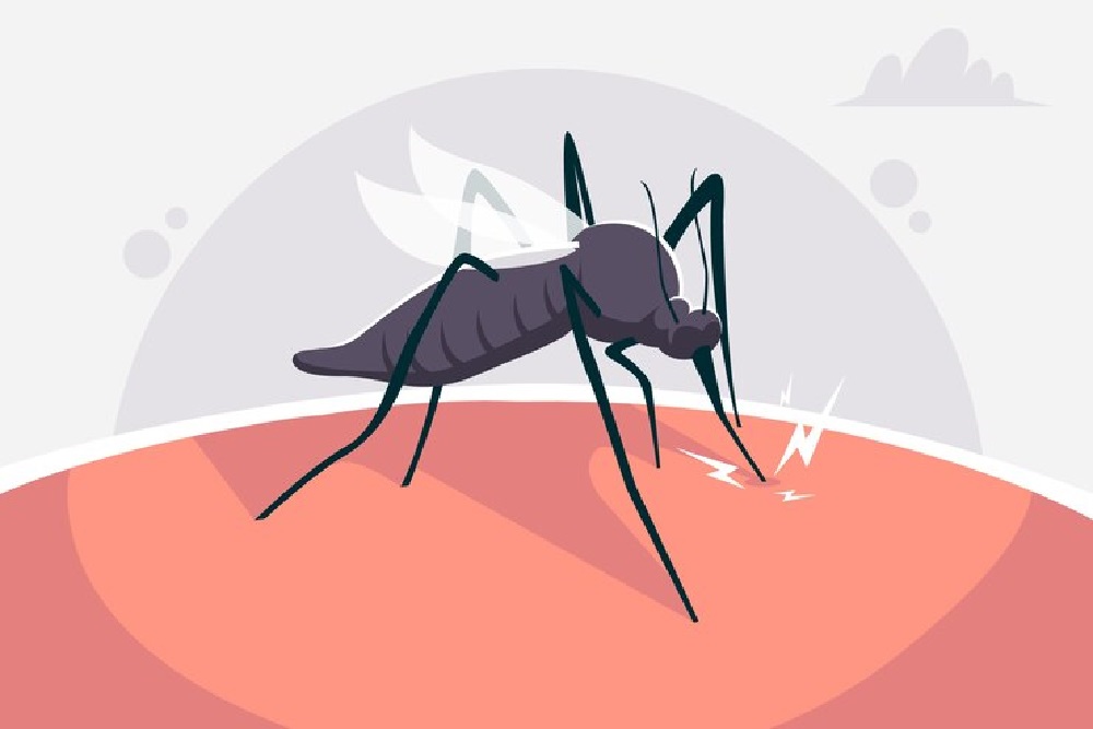 Waspada! Larva Nyamuk Penyebab Malaria Ditemukan di Gunungkidul