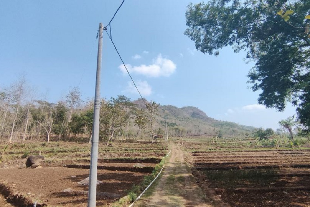 Ubah Sawah Tadah Hujan Menjadi Sawah Irigasi, PLN Tingkatkan Produktivitas Pertanian Wonogiri