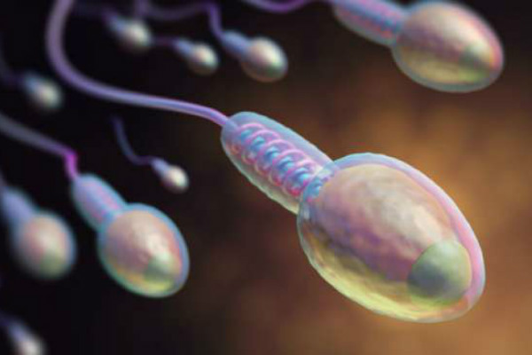 Guru Besar Fakultas Kedokteran UI Temukan Teknik Modifikasi Sperma untuk Kehamilan