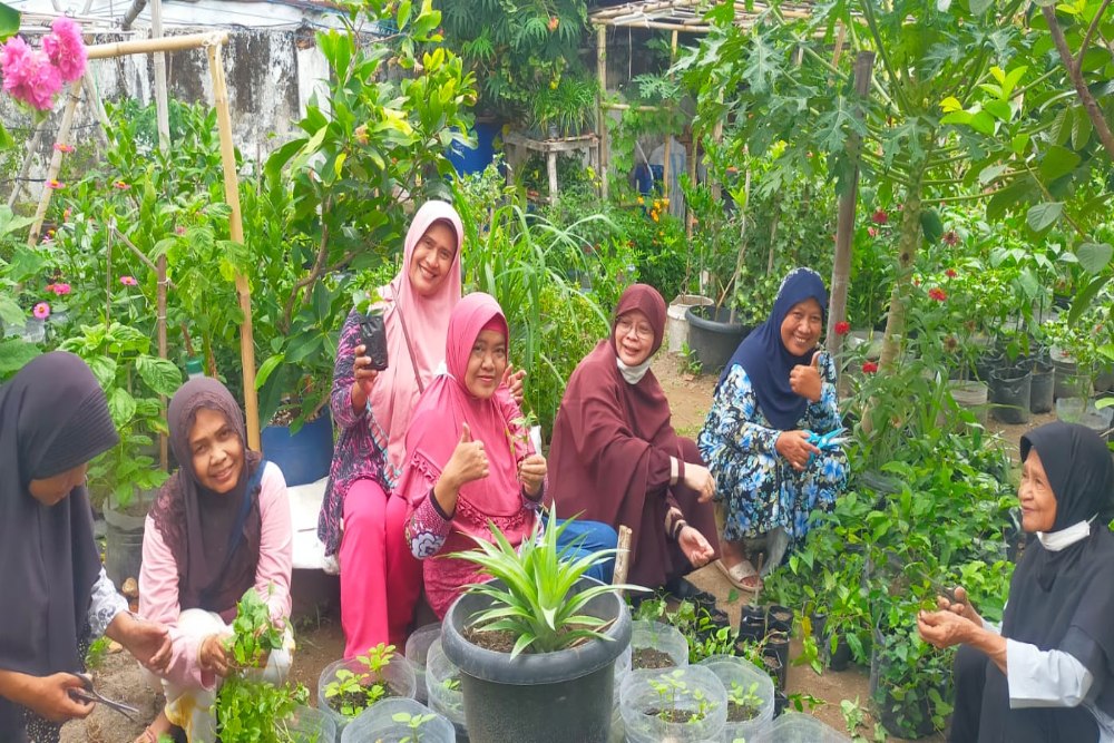 Jadi Pioner Budi Daya Cabai Jawa di Kota Jogja, 600 Bibit Cabai Jawa Disebar di Mantrijeron