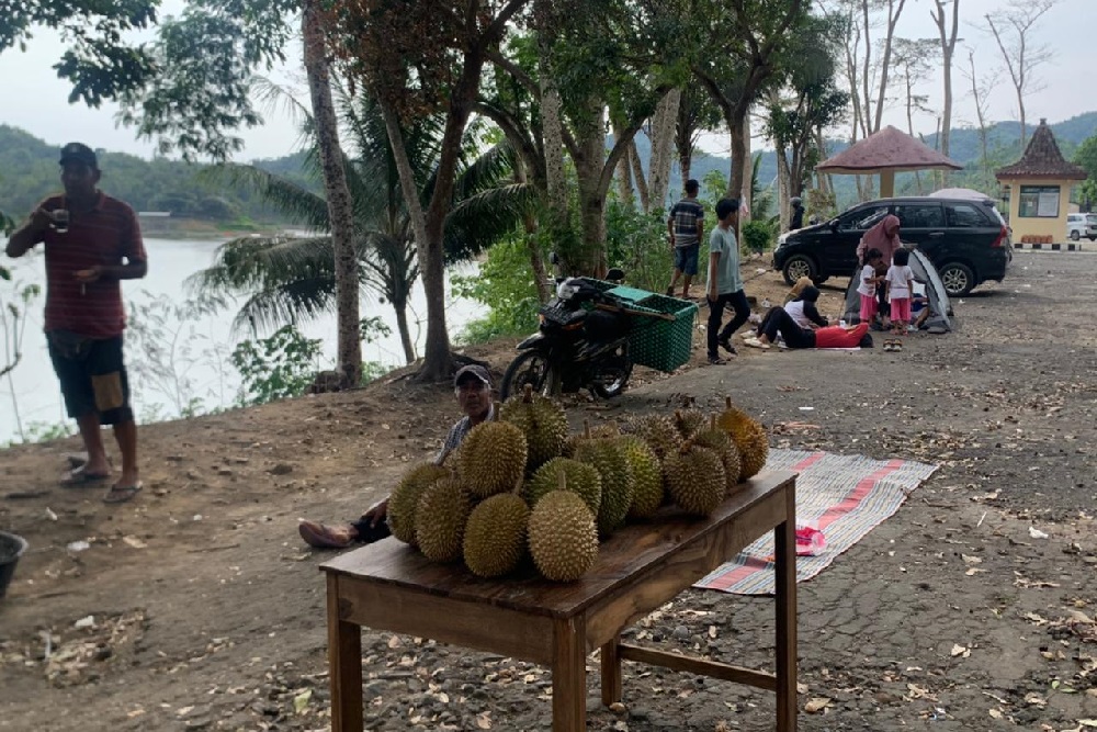 Waduk Sermo Ramai Wisatawan Berburu Durian