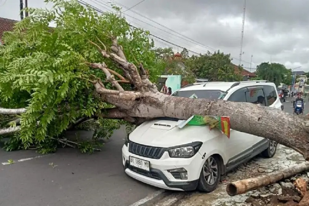 Karanganyar Dilanda Angin Kencang, Satu Mobil Tertimpa Pohon