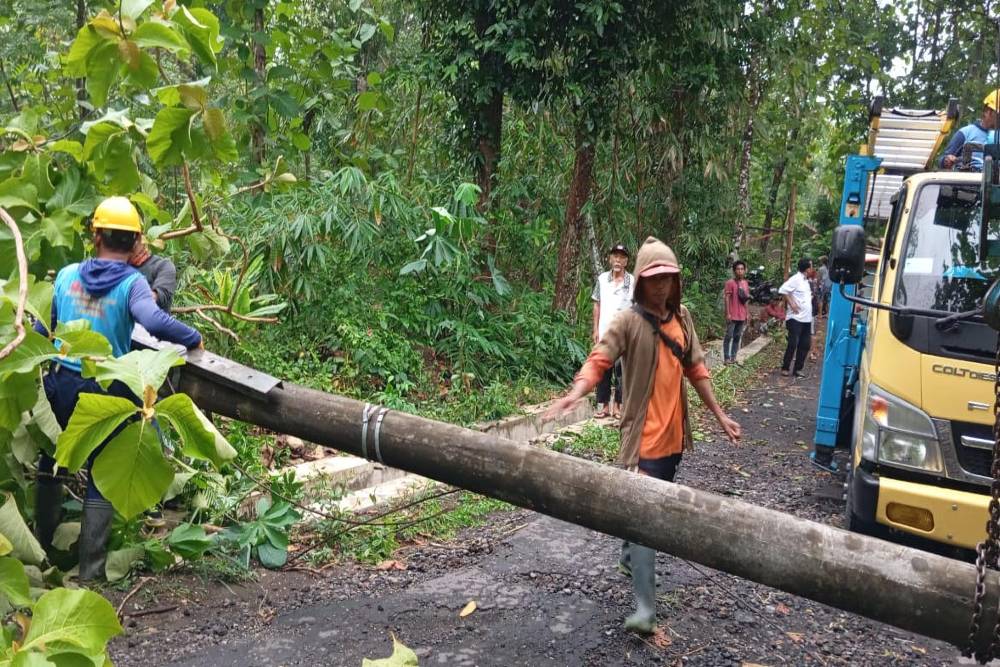 Hujan Angin, Pohon Hingga Tiang Listrik Roboh di Kulonprogo