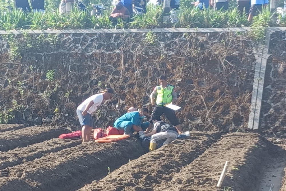 Kurang Konsentrasi, Pengendara dan Pembonceng Motor Masuk ke Sawah di JJLS