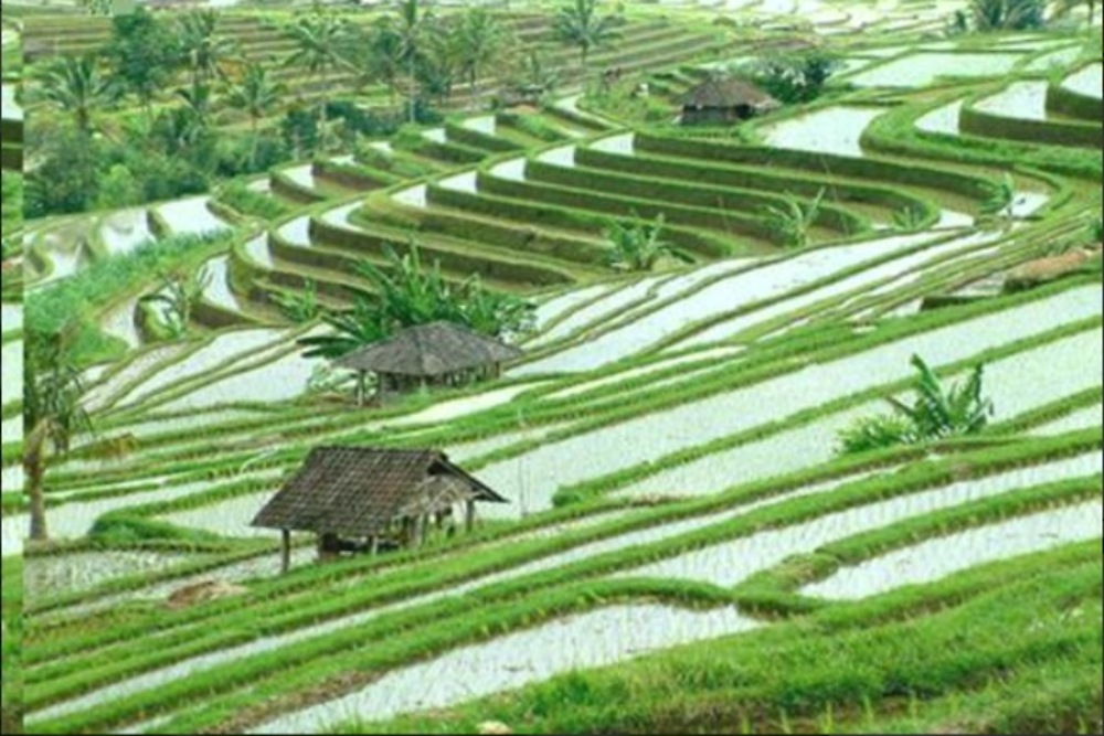 Wisatawan Tiongkok Memilih Bali sebagai Destinasi Liburan Tahun Baru Imlek 2024