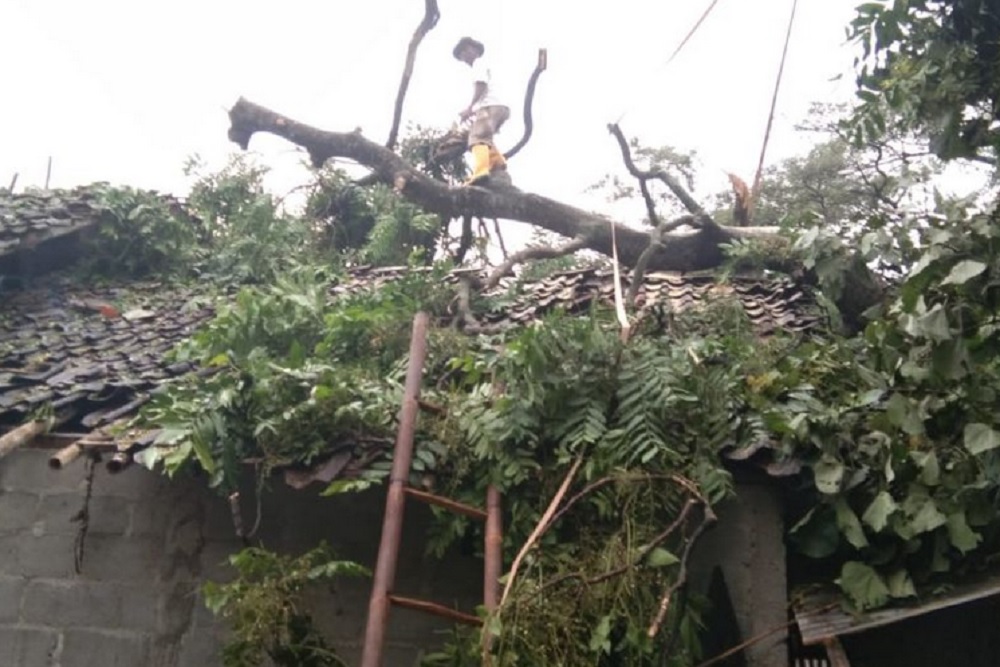 Dampak Bencana di Kota Jogja, Sejumlah Rumah Rusak dan Puluhan Pohon Tumbang
