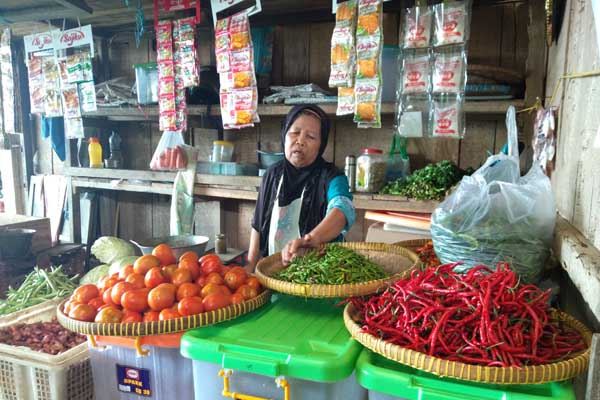 Rantai Pasok Bahan Makanan Pokok, Upaya Optimasi dalam Menjaga Ketahanan Pangan di Kulonprogo