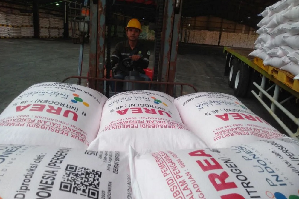 Dukung Swasembada Pangan, 9,55 Ton Pupuk Bersubsidi Bakal Digelontorkan ke Para Petani