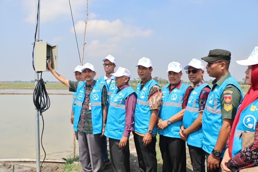 Listrik Masuk Sawah, Petani Sragen Untung 35% LebihBanyak dengan Program Electrifying Agriculture PLN