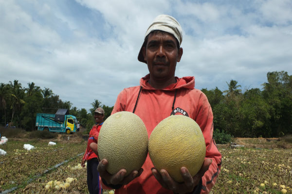 Cuaca sedang Panas, Ini Makanan yang Pas buat Jaga Kesehatan Anda