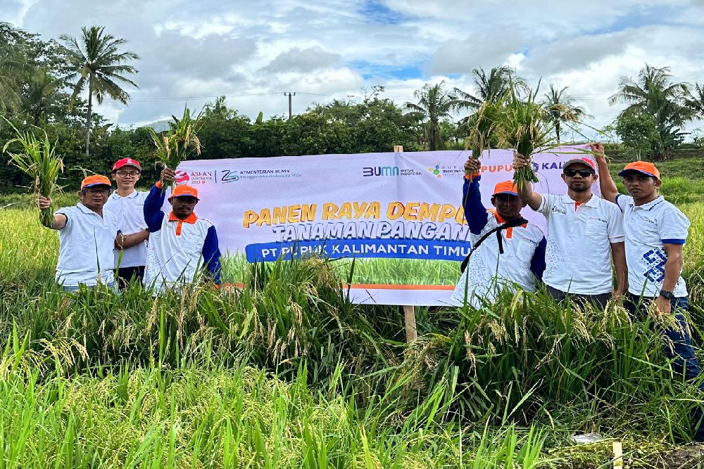 Demplot Pupuk Kaltim Tingkatkan Produksi Padi Bone hingga 100 Persen