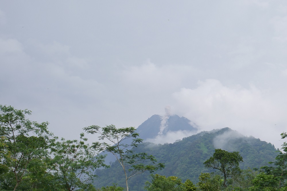 Puluhan Guguran Lava Terjadi di Merapi Selama Sepekan