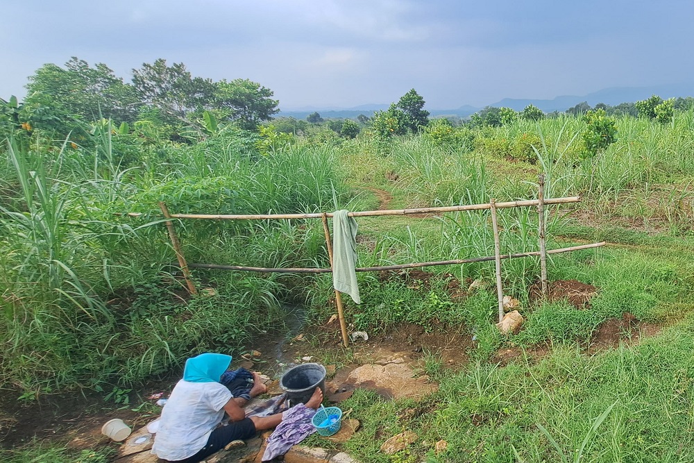 Hutan Nangka Gunungkidul Potensi untuk Eduwisata dan Pemasok Bahan Baku Gudeg