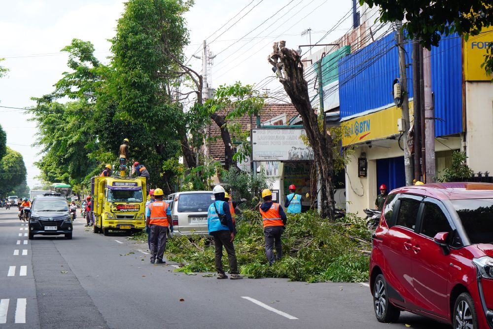 Sambut Iduladha, PLN Gelar Pemeliharaan Preventif Terpadu di Kota Jogja