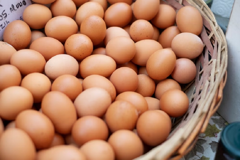 Hari Ini Harga Beras Turun, Telur Ayam Mahal