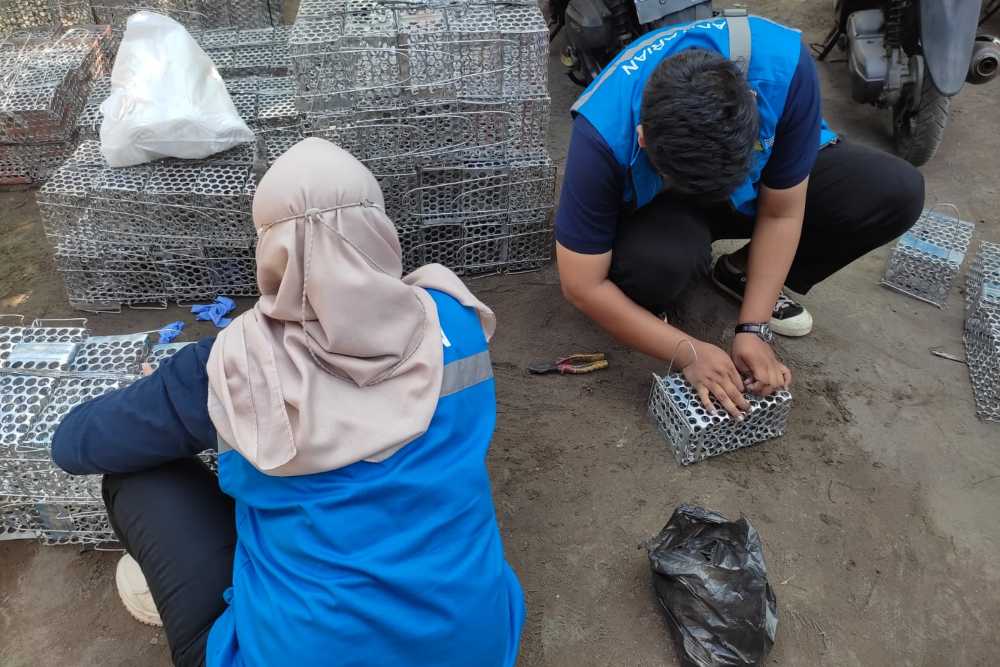 Kasus Leptospirosis di Sleman Terus Bertambah, Rata-Rata Banyak Ditemukan di Kapanewon Ini