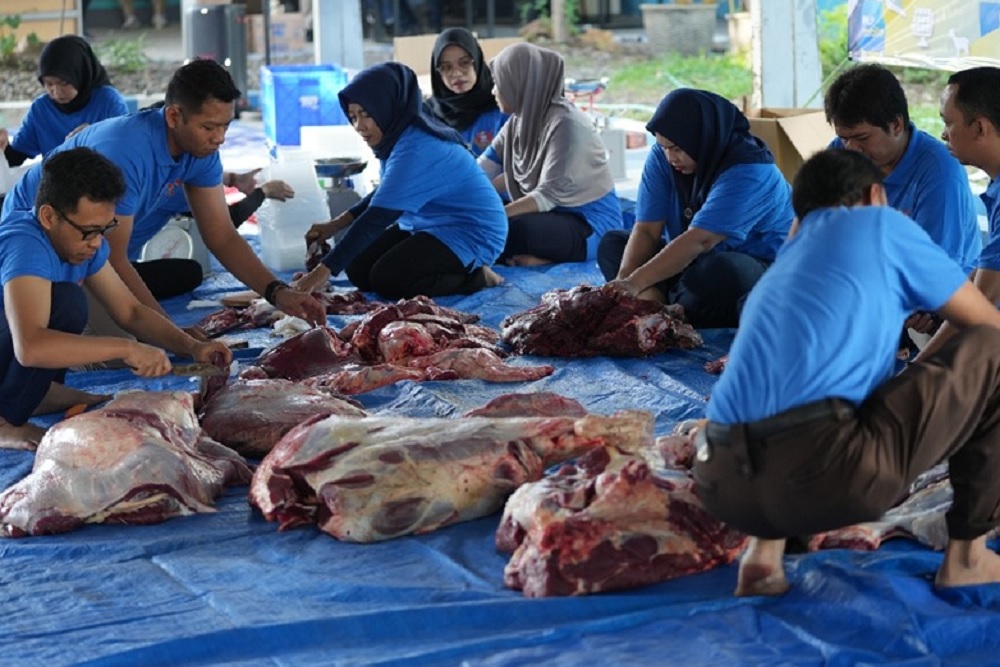 Idul Adha 1445 H, PT PLN Gelar Penyembelihan dan Penyaluran Hewan Qurban