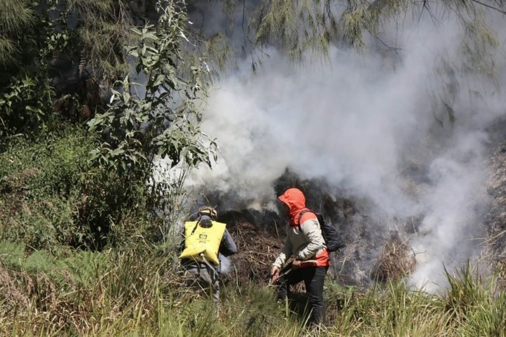 Kawasan Bromo Terbakar, Petugas Berjibaku Padamkan Api