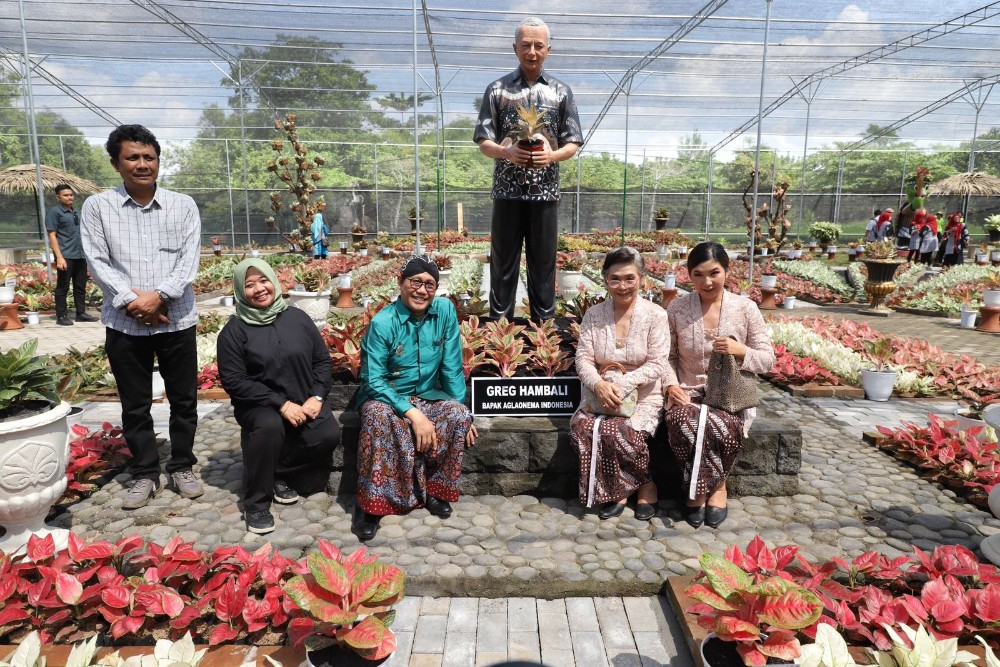 Kelebihan Aglaonema Park di Sleman, Ada 209 Spesimen di Atas Lahan 1 Hektare