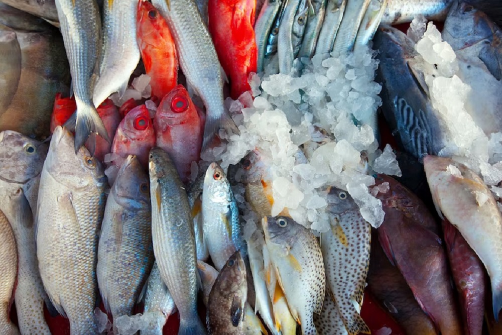 Tingkatkan Konsumsi Ikan Melalui Bimtek Olahan Ikan