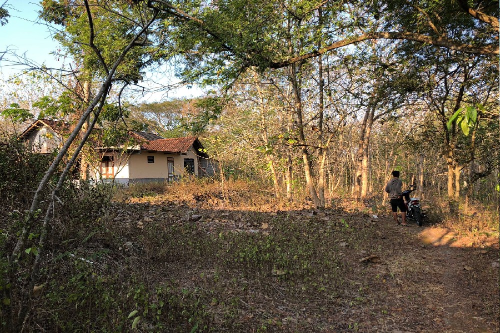 Viral Ada Kampung Mati di Guwosari Bantul, Ini Komentar Lurah