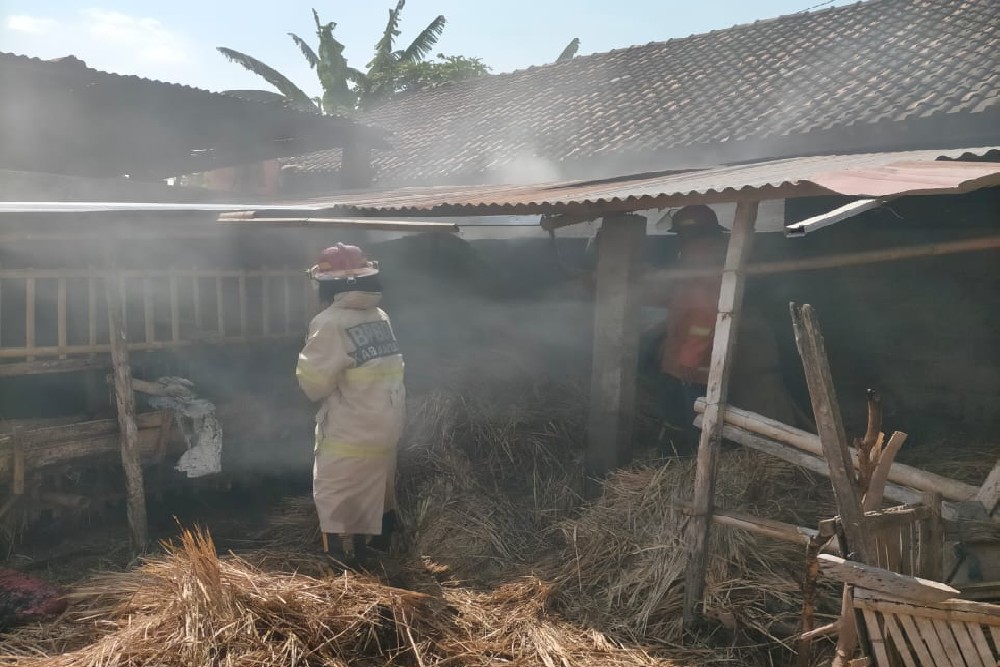 Sebuah Usaha Pengeringan Kayu Terbakar di Pundong, Tak Ada Korban Jiwa