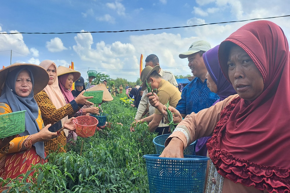 Kelompok Tani Kalurahan Duwet Gunungkidul Kesulitan Jaringan Listrik