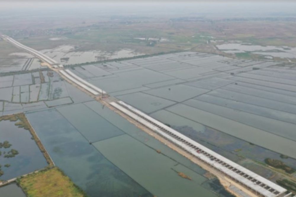 Proyek Jalan Tol Semarang-Demak Telan 46 Hektare Hutan Mangrove