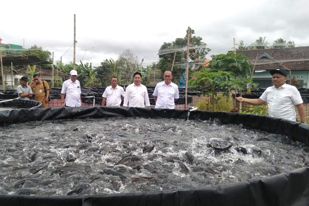 Produksi Perikanan Budidaya di Gunungkidul Mencapai 12.000 Ton