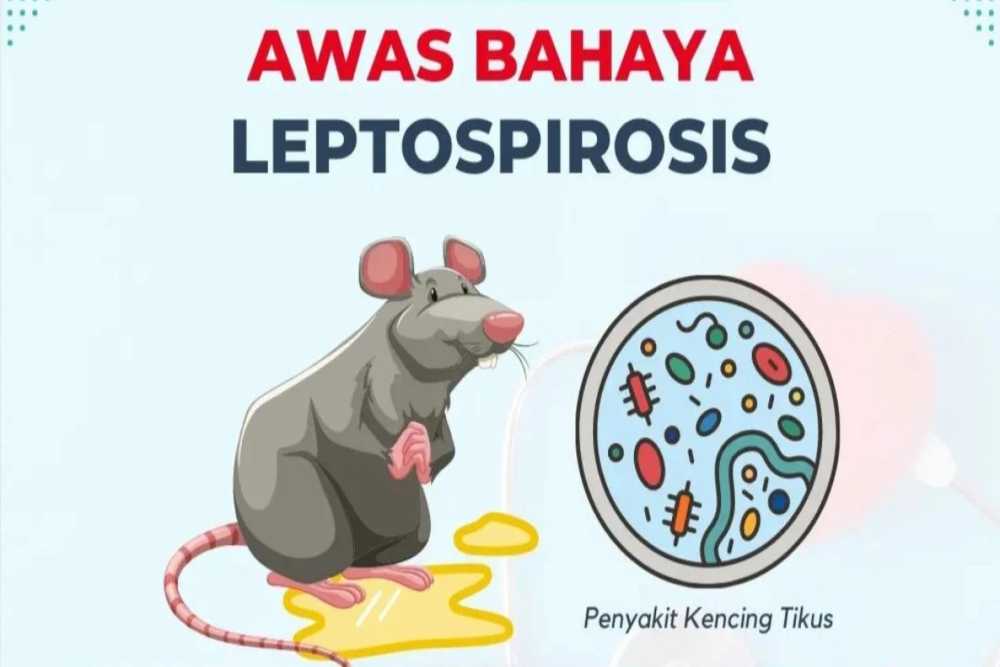 Leptospirosis di Gunungkidul Capai 16 Kasus dalam 6 Bulan Terakhir di 2024