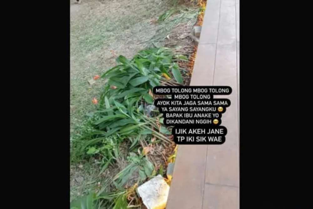 Baru Sehari Dibuka, Tanaman di Balekambang Rusak, Wali Kota Solo: Tak Masalah!