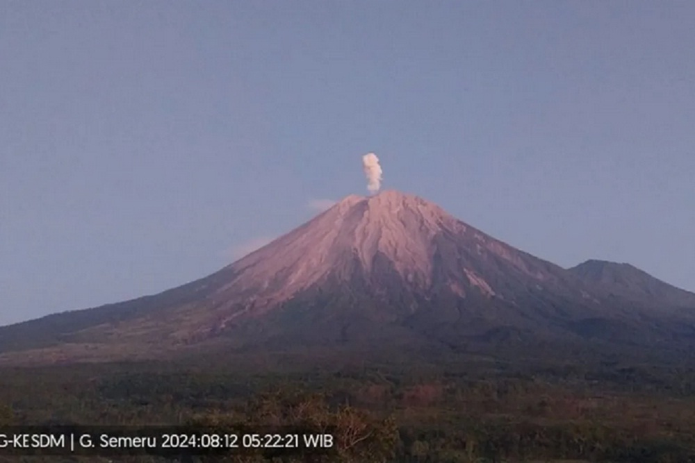 Gunung Semeru Meletus Pagi Ini, Lontarkan Abu Vulkanik Setinggi 800 Meter