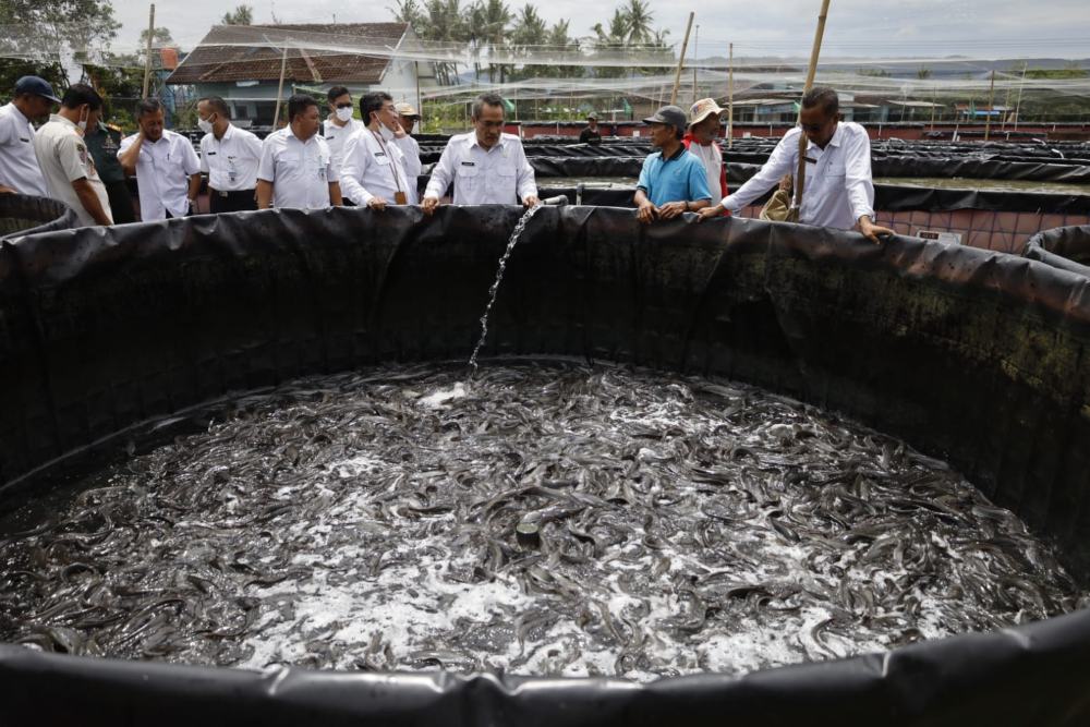 Bencana Kekeringan Belum Berdampak pada Budidaya Ikan di Bantul