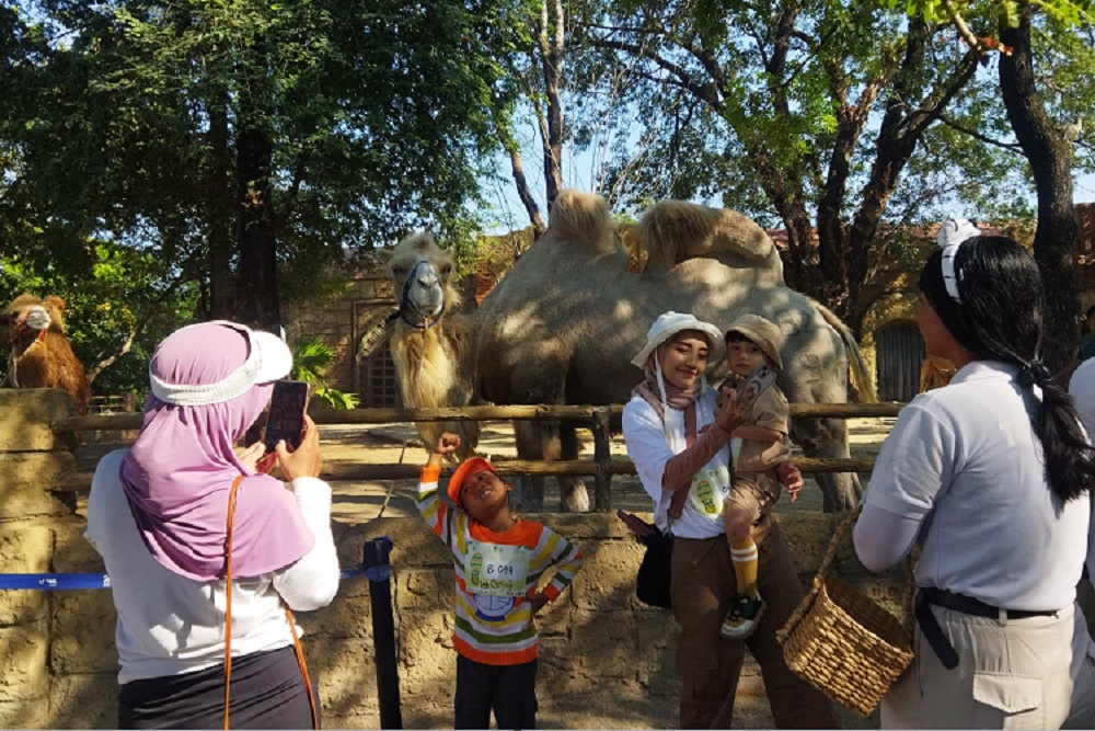 Ratusan Peserta Meriahkan Safari Fun Walk Challenge di Solo Safari