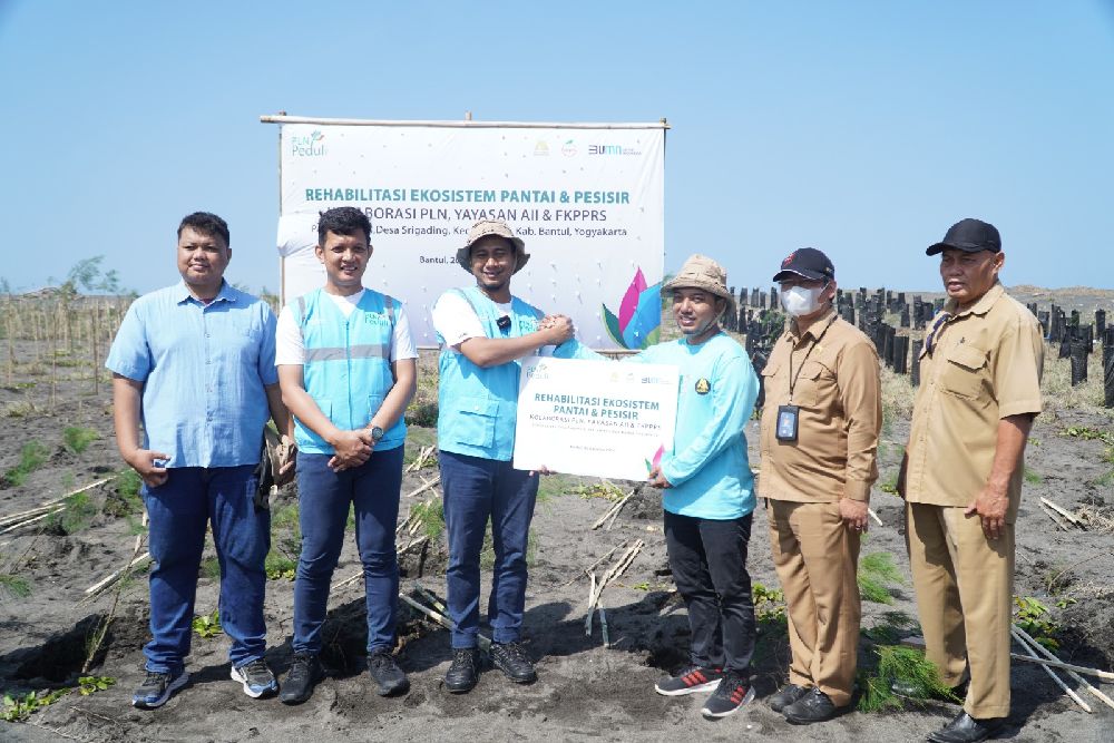 5 Tahun Transformasi BUMN, PLN Konsisten Jaga Kelestarian Lingkungan dengan Penanaman 2.500 Bibit Pohon Cemara Laut di Pesisir Pantai Samas