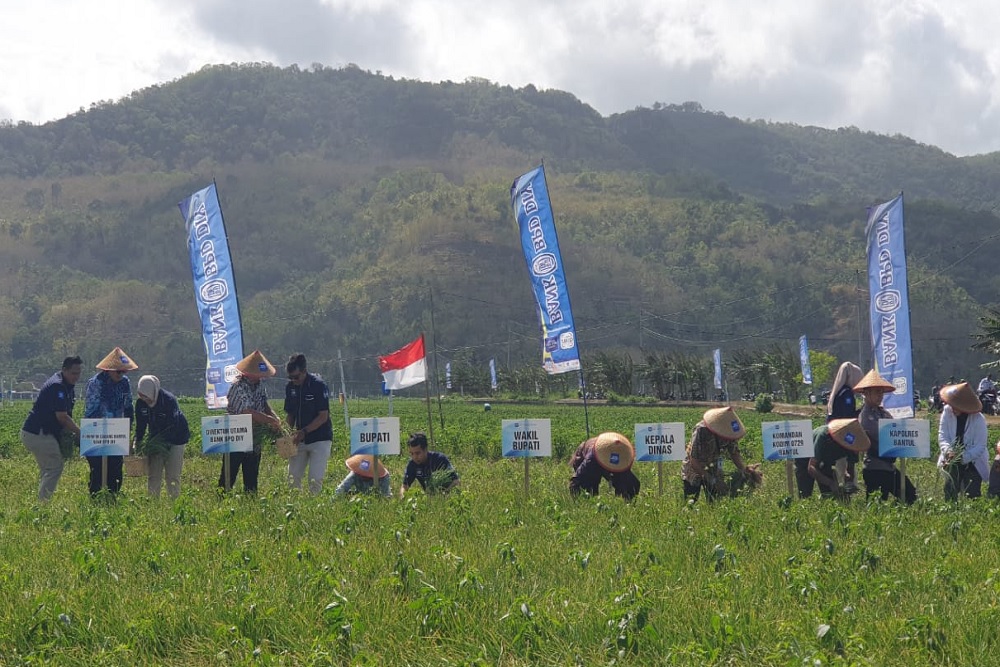 Dukung Peningkatan Produksi Pertanian, Bank BPD DIY Luncurkan Kredit Alsintan