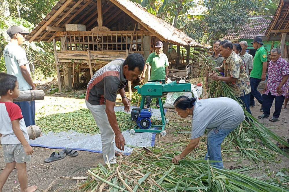 Kemarau Bikin Pakan Ternak Kian Terbatas, Ini Solusi yang Tengah Digalakkan Pemkab Kulonprogo