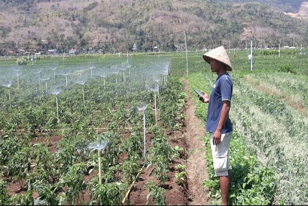 Petani Viral yang Menyirami Kebun Cabai via Google Assistant Ternyata Anggota Polsek Kretek Bantul