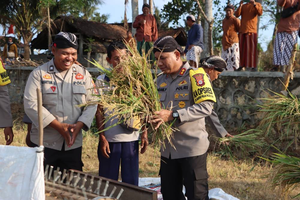 Polres Kulonprogo Ubah Lahan Gersang Jadi Produktif, Hasilkan Padi 6,7 Ton per Hektare